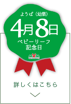 4月8日(幼葉【ようば】)はベビーリーフ記念日  詳しくはこちら